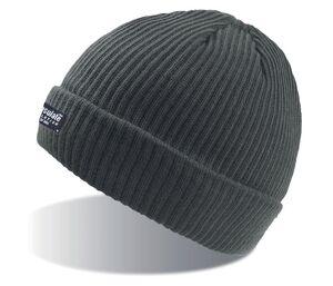 Atlantis AT102 - Gorro con forro Thinsulate Gris